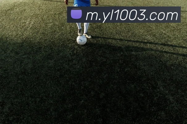 对战数据统计